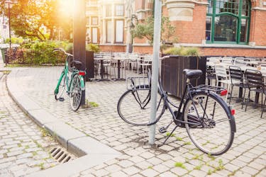 Visite à vélo privée d’Anvers au-delà du centre-ville
